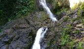 Trail Walking Goyave - cascade bras de fort - Photo 2