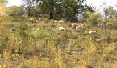 Randonnée Marche Bassenge - Eben emael et montagne st Pierre  - Photo 6