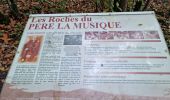 Trail Walking Ballancourt-sur-Essonne - Forêt Hospitalière de la Coudraye Ballancourt-sur-Essonne  - Photo 3