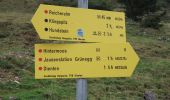 Tocht Te voet Maria Alm am Steinernen Meer - Wanderweg 12 - Photo 2