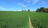 Tour Wandern Dinant - Furfooz - Photo 12