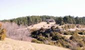 Tocht Stappen Aurel - Le Plateau de Solaure par Aurel - Photo 3