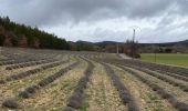 Percorso Marcia Viens - PF-Viens, Hameaux et Chapelles - Photo 19