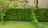 Randonnée Marche Champagney - Canal souterrain de la Haute-Saône - Photo 7