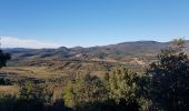 Tocht Stappen Le Bosc - Saint-Alban - Célis - La Roque  - Photo 17