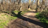 Trail Walking Nieuwpoort - Ter duinen - Photo 3