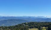 Tour Wandern Beaumont-du-Ventoux - Mont Ventoux - Photo 3