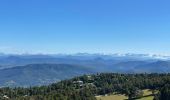 Trail Walking Beaumont-du-Ventoux - Mont Ventoux - Photo 3