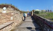 Tocht Stappen Marlenheim - Circuit de Bacchus - Le Riewerle - Photo 19