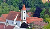 Tour Zu Fuß Feldbach - Gleichenberger Bahn-Wanderweg - Photo 3