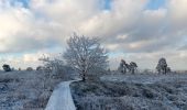 Tocht Stappen Spa - berinzenne entre forêt et fagne  - Photo 6