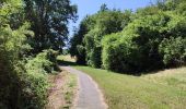 Randonnée Marche Braine-le-Comte - Promenade des canaux de Ronquières - Photo 18