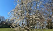 Tour Wandern La Hulpe - Château de laHulpe  - Photo 4