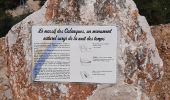Tocht Stappen Cassis - cassis petite marche - Photo 1