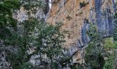 Trail Walking Estoublon - Gorges de Trévans - Photo 19