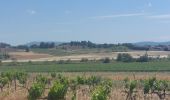 Excursión Senderismo Homps - CC_Piemont_AD_04_Homps_St-Frichoux_20240614 - Photo 12