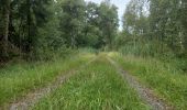 Tocht Lopen Geestland - rondje bos een meer - Photo 2