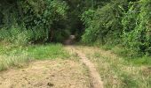 Excursión Senderismo Soisy-sur-École - Soizy-sur-Ecole - La Padole - Photo 9