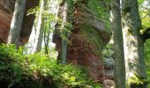 Excursión Senderismo Roppeviller - Roppewiler Rochers altschlossfelsen et Diane - Photo 3