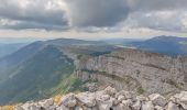 Tour Wandern Bouvante - Serre Montué ( petit et grand sommet) - Photo 12