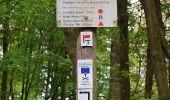 Excursión A pie Taunusstein - Rundwanderweg rote Flagge - Photo 4