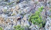 Excursión Senderismo Veynes - Les 8 cols et Tête de Tombereau via Veynes - Photo 18