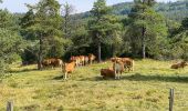 Trail Walking Saint-Agnan-en-Vercors - Col de soulier - Photo 7