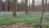 Tour Wandern Braine-l’Alleud - rando Françoise 2023.04.14 - Photo 1