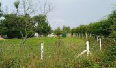 Randonnée Marche Souleuvre-en-Bocage -  Campeaux - Photo 3