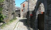 Trail Walking Villefort - Lac Villefort la Garde Guerin, lac de Villefort.(31-05-2020) - Photo 14