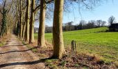 Tour Wandern Wavre - GSK - Gastuche - Photo 3