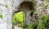 Tour Wandern Omblèze - Le saut de la Truite - Photo 5