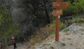 Trail Walking Sospel - Sospel à Airole - Photo 10