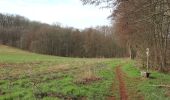 Tour Zu Fuß Querfurt - Hermannseck-Lodersleben - Photo 6