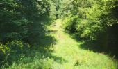 Trail Walking Ciney - Conjoux 300724 - Photo 13