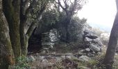 Tour Wandern Collioure - Col de la serra. sailfort. Col de pal.coulomates. long de ruisseau et canal  - Photo 2