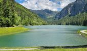 Trail Walking Montriond - Lac de Montiond et cascade de l Ardent - Photo 7