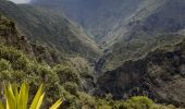 Excursión Senderismo La Possession - la Nouvelle  Roche Plate  - Photo 4