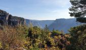 Trail Walking Saint-Pierre-des-Tripiers - Boucle Cassagnes - Gorges Jonte - Photo 1