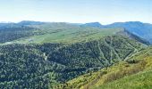 Randonnée Marche Saint-Agnan-en-Vercors - Col de Rousset - Le But de Nève - Photo 17