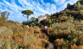 Excursión Senderismo Le Val - Le Mont Cuit par la Grande Muraille - Photo 19