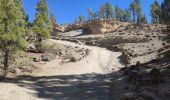 Tour Wandern Vilaflor - Lunar Landscape Hike in Villaflor (Tenerife) - Photo 18