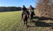 Trail Horseback riding Bastogne - Livarchamps 27 février 2021 - Photo 2