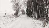 Trail Walking Lierneux - Promenade sur les hauteurs enneigées de Lierneux  - Photo 1