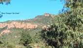 Tocht Elektrische fiets Fréjus - Velos dans l'Esterel 29km - Photo 4