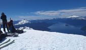 Trail Touring skiing Puerto Varas - volcán Osorno - Photo 2