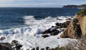 Excursión Senderismo Hyères - Tour de la presqu'île de Giens est - Cap Esterel - Photo 5