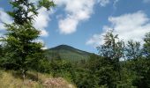 Tour Wandern Urmatt - Cascade Soultzbach - Urmatt - Photo 20