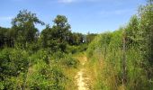 Trail On foot Crépy-en-Valois - le GR11 dans la Forêt de Retz et sur les bords du canal de l'Ourcq - Photo 12