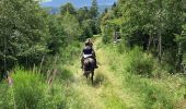 Trail Horseback riding Bertrimoutier - Restaurant belle vue col de sainte marie Tivio  - Photo 17